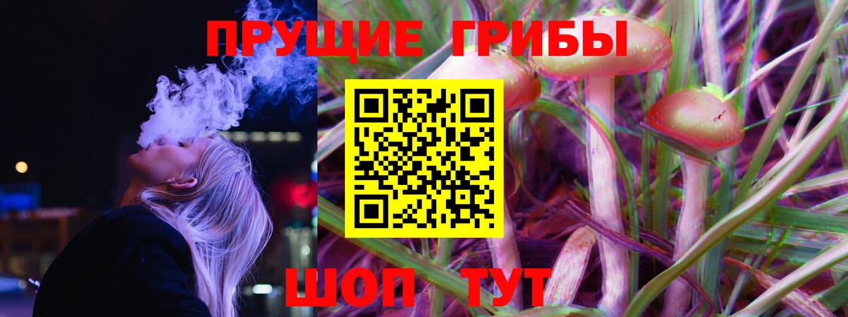 Псилоцибиновые грибы мухоморы  Вход с VPN  Псилоцибиновые грибы Magic Shrooms  Отрадный 