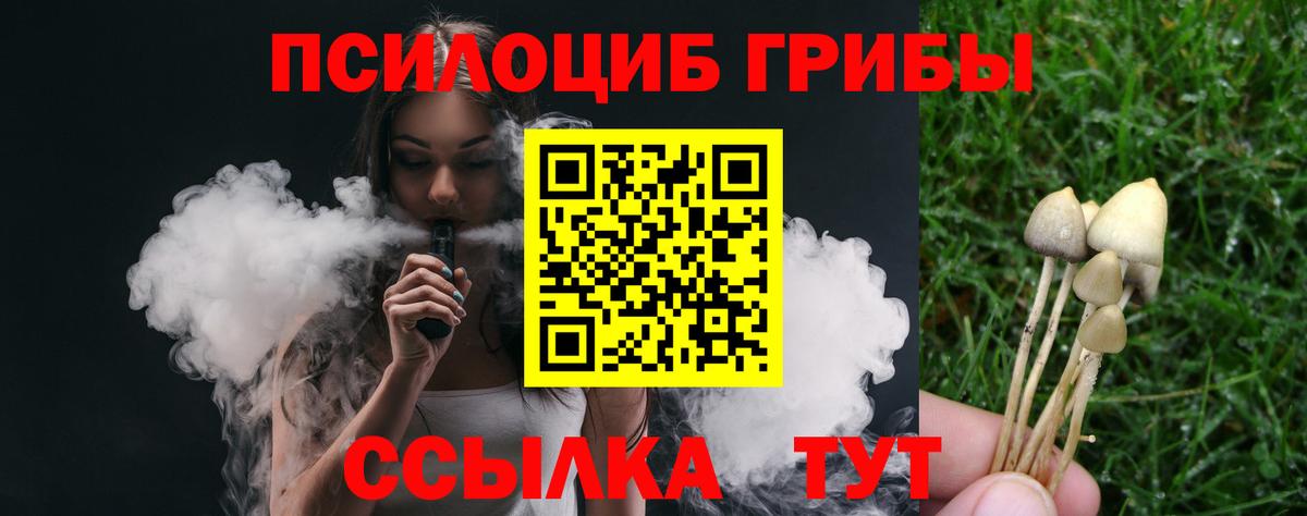 Галлюциногенные грибы прущие грибы Отрадный